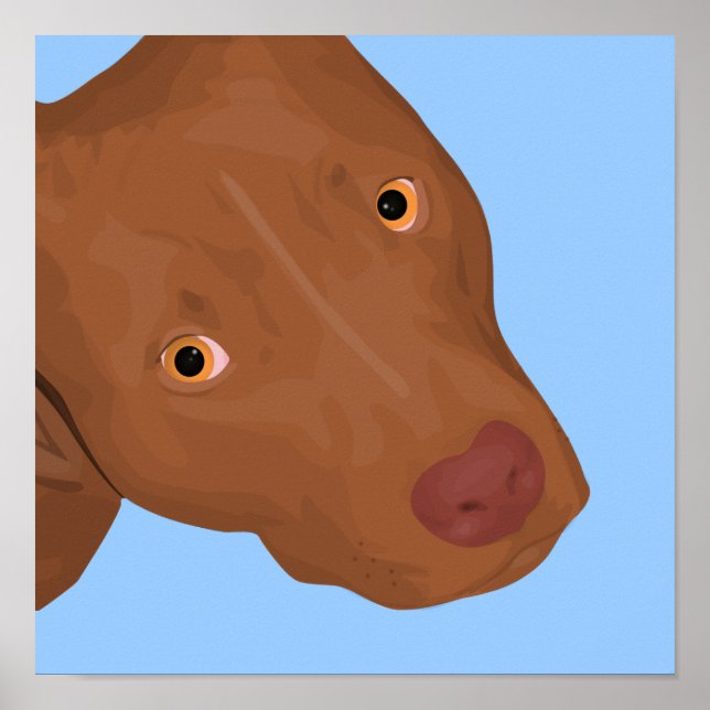 A Cute Pit Bull Portrait Popping Out Poster (Front)
