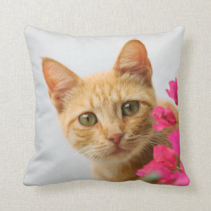 A cute red tabby kitten is watching you. cushion