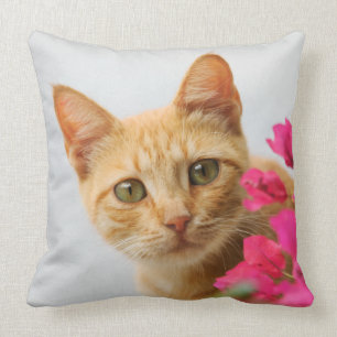 A cute red tabby kitten is watching you. cushion