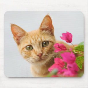 A cute red tabby kitten is watching you. mouse pad