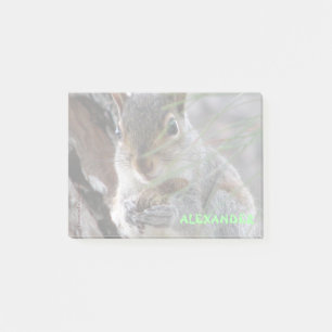 A Cute Squirrel With Peanut Personalised Post-it Notes