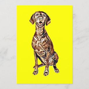 A cute Vizsla dog siting and looking forward with Invitation