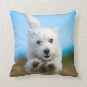A Cute West Highland Terrier Puppy Running Cushion