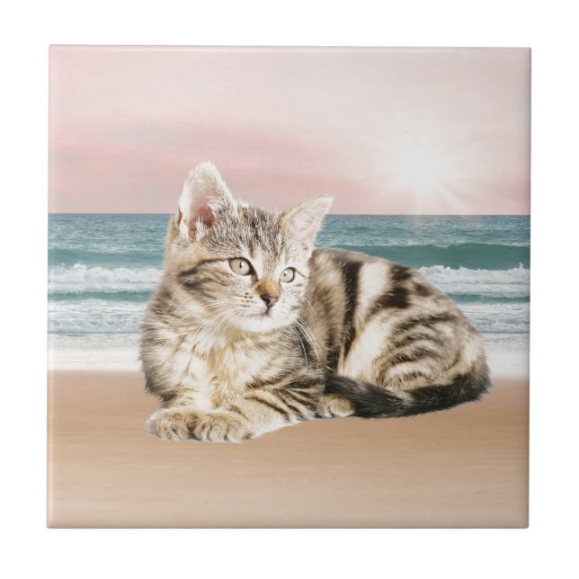 A Cuter Striped Cat Sitting on Beach with sunset Ceramic Tile (Front)