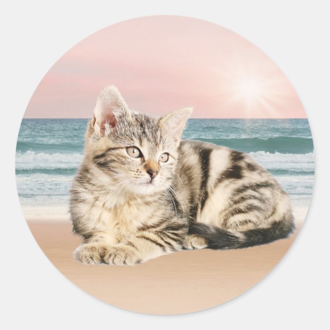 A Cuter Striped Cat Sitting on Beach with sunset Classic Round Sticker (Front)