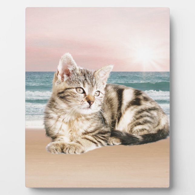 A Cuter Striped Cat Sitting on Beach with sunset Plaque (Front)