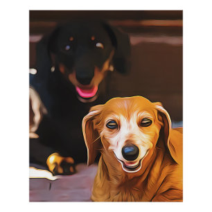 A Dachshund Hot During The Summer Heatwave Poster