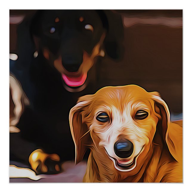 A Dachshund Hot During The Summer Heatwave Poster (Front)