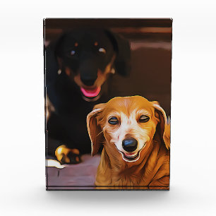 A Dachshund Hot During The Summer Heatwave Poster Photo Block