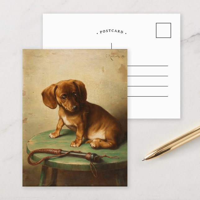 A Dachshund Puppy | Carl Reichert Postcard (Creator Uploaded)