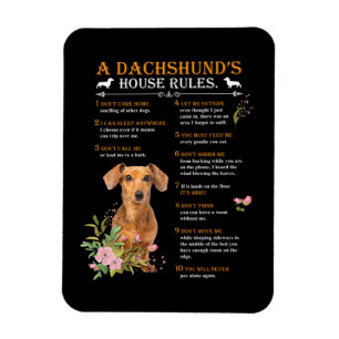 A Dachshund's House Rules Magnet