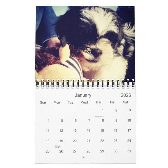 A Daily Dose of Panda Calendar (Jan 2026)