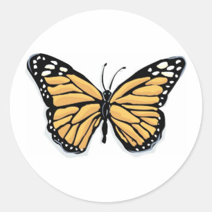 A Dainty Monarch Butterfly Classic Round Sticker