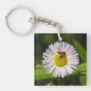A daisy fleabane flower and a bee Key Ring