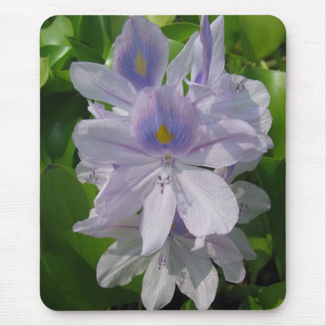 A Day at the Pond Series Mouse Pad (Front)