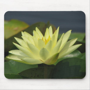 A Day at the Pond series Mouse Pad