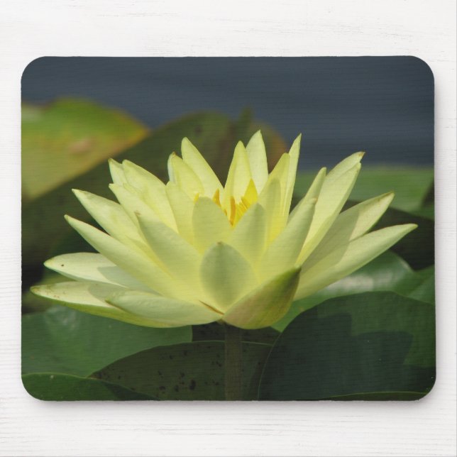 A Day at the Pond series Mouse Pad (Front)
