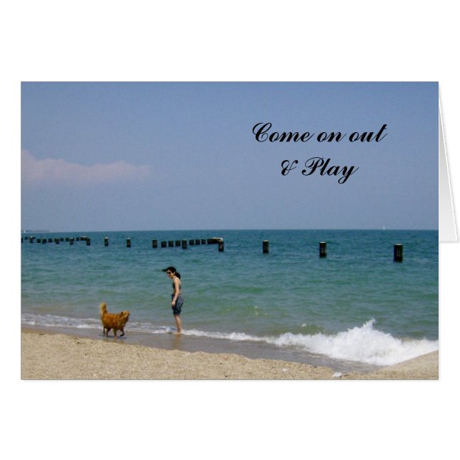 A day frolicking on the beach (Front Horizontal)