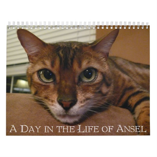 A Day in the Life of Ansel Calendar - 18 month (Cover)