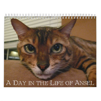 A Day in the Life of Ansel Calendar - 18 month