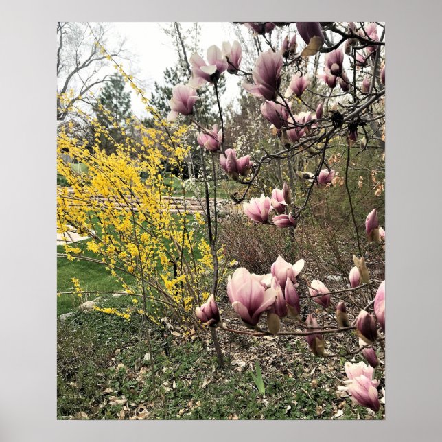 A Day in the Park Poster (Front)