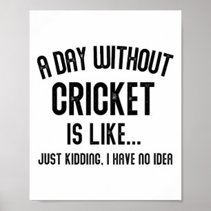 A Day Without Cricket Is Like Cricket Men Women Gi Poster