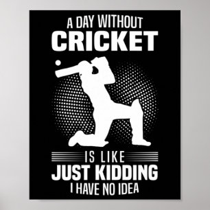 A Day Without Cricket Is Like Just Kidding No Idea Poster
