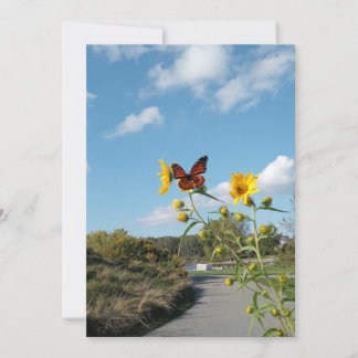 A Dazzling Spectacle Invitation