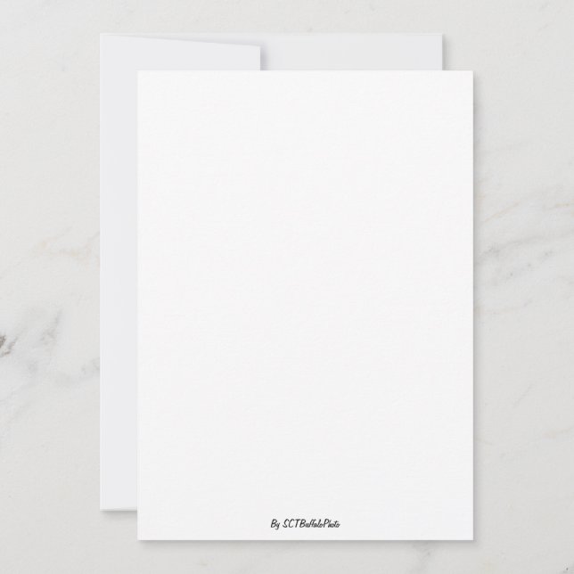 A Dazzling Spectacle Invitation (Back)