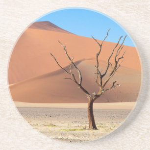 A dead tree on a desert plain with dunes coaster