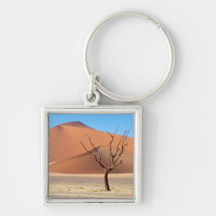A dead tree on a desert plain with dunes key ring