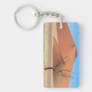 A dead tree on a desert plain with dunes key ring