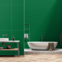 A deep green background contrasted by a crisp whit