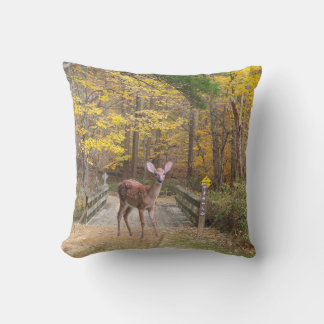 A deer in the park cushion