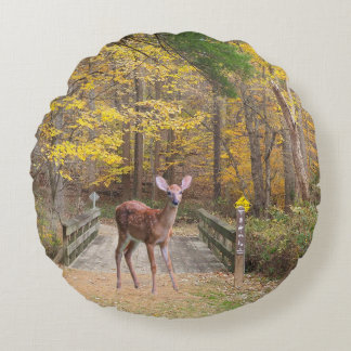 A deer in the park round cushion