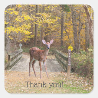 A deer in the park square sticker