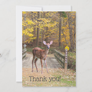A deer in the park thank you card