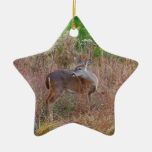 A Deer in the Tall Grass Ceramic Ornament