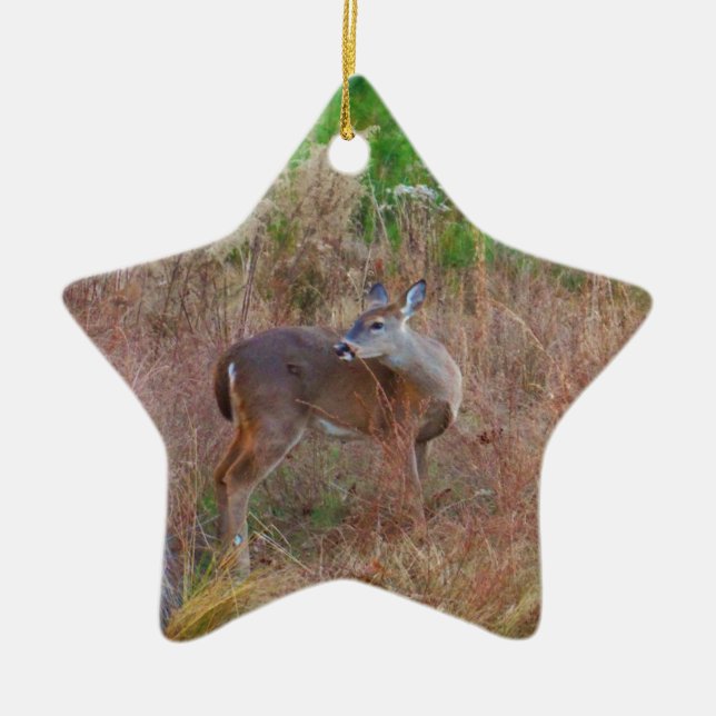 A Deer in the Tall Grass Ceramic Ornament (Front)