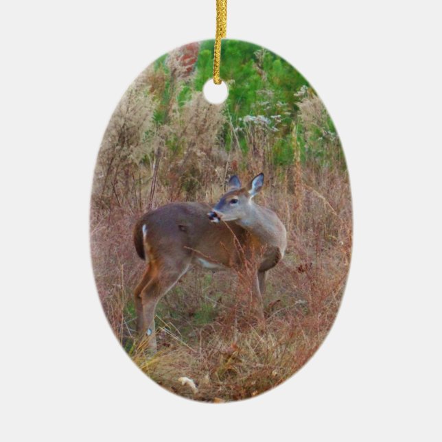 A Deer in the Tall Grass Ceramic Ornament (Front)