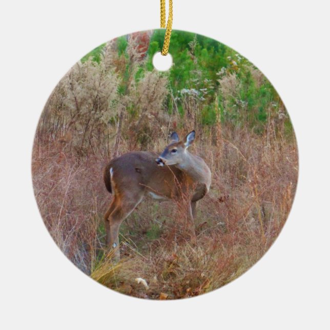 A Deer in the Tall Grass Ceramic Tree Decoration (Front)