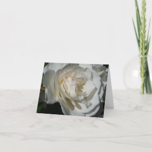 a delicate white breath of purity and innocence thank you card