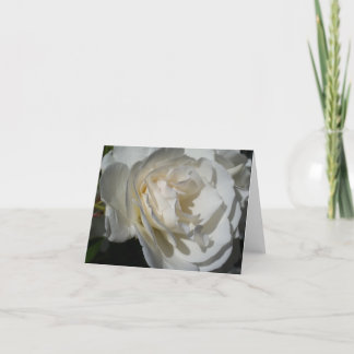 a delicate white breath of purity and innocence thank you card