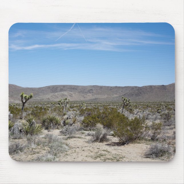 a desert landscape with some cactuses arround on mouse pad (Front)