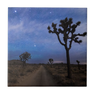A Desert Road and Joshua Trees at Night Ceramic Tile