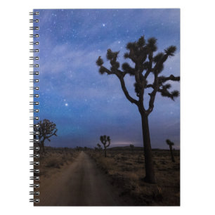 A Desert Road and Joshua Trees at Night Notebook
