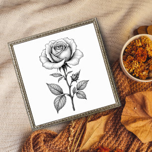 A Detailed Monochrome Botanical Illustration Poster