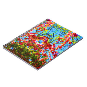 A Different Light Notebook