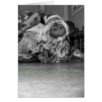 A Different Point of View