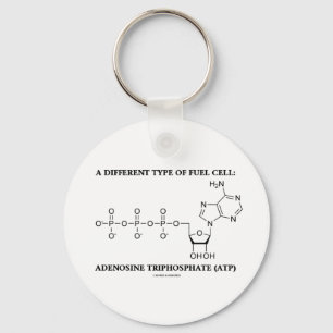 A Different Type Of Fuel Cell (ATP) Key Ring